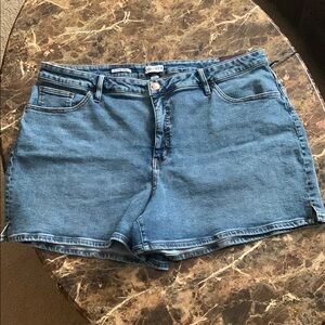 Wild Fable Blue Jean Shorts Raw Hem